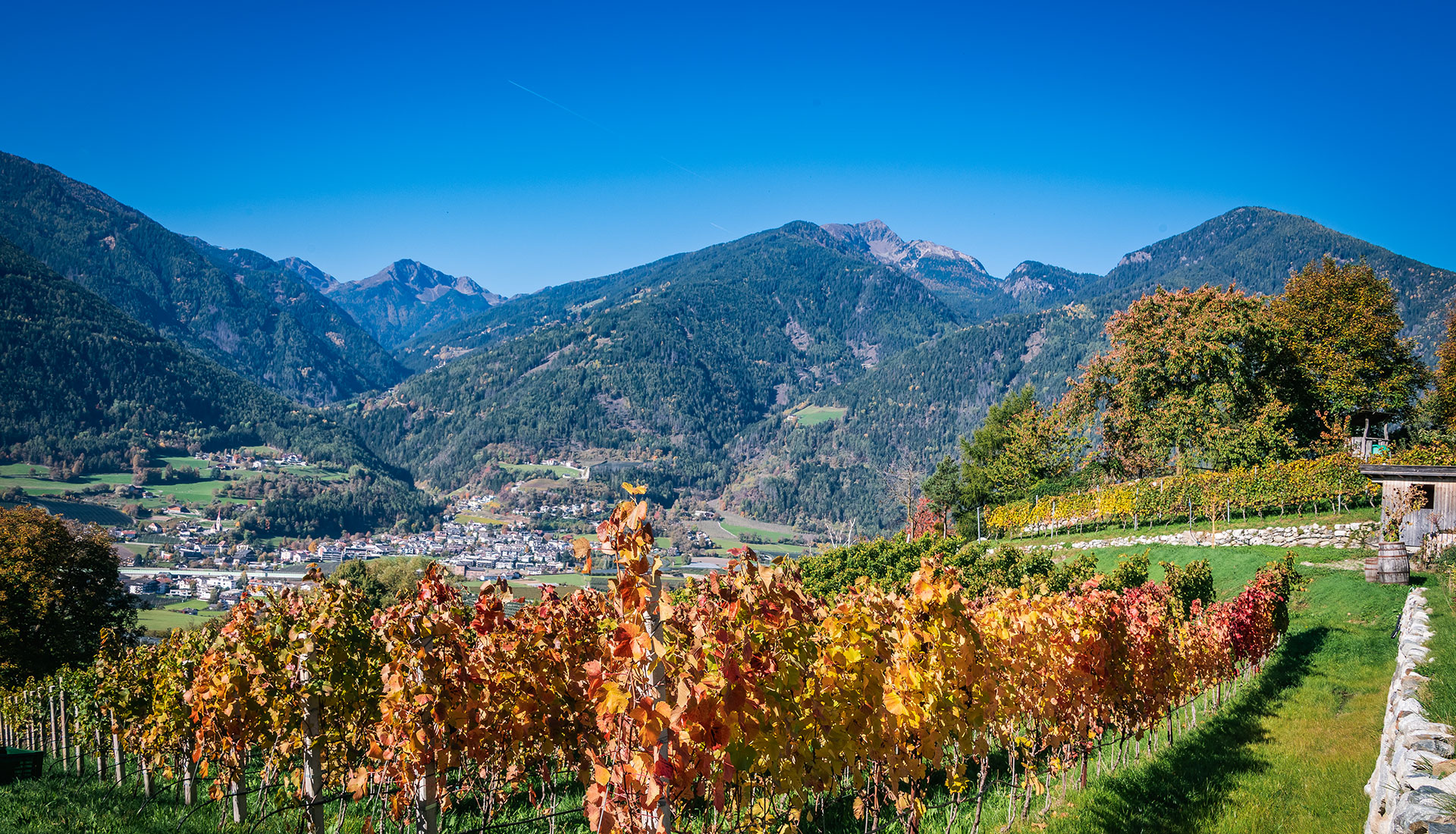 trinnerhof-bauernhofurlaub-natz-schabs